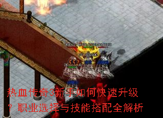 ��Ѫ����3������ο���������ְҵѡ���뼼�ܴ���ȫ����