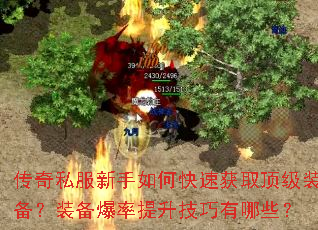 ����˽��������ο��ٻ�ȡ����װ����װ������������������Щ��