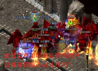 ���λ��ְҵ��ο������������պ���ս�����ɣ�