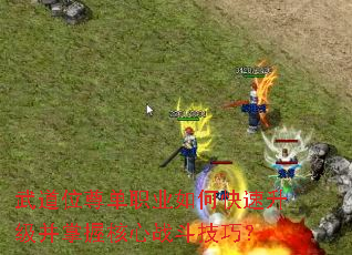 ���λ��ְҵ��ο������������պ���ս�����ɣ�