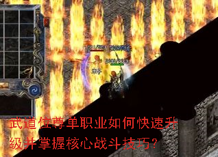 ���λ��ְҵ��ο������������պ���ս�����ɣ�