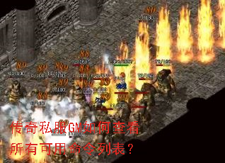 ����˽��GM��β鿴���п��������б���