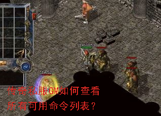 ����˽��GM��β鿴���п��������б���