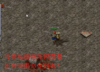 ����˽��GM��β鿴���п��������б���