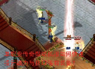 ��ְҵ����΢��˽����ο�������ս�����ȡϡ��װ����