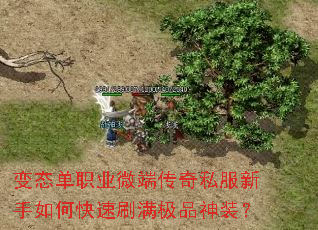 ��̬��ְҵ΢�˴���˽��������ο���ˢ����Ʒ��װ��