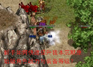 ������ο��������ұ���Ĭԭʼ���ɫս����װ���ȼ���