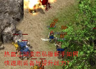 ��Ѫ������̬˽��������ο���ˢװ��������ս����