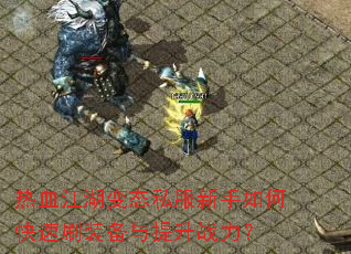 ��Ѫ������̬˽��������ο���ˢװ��������ս����