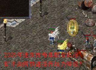 2025����ʧ���浥ְҵ˽��������ο�������ս���ȼ���