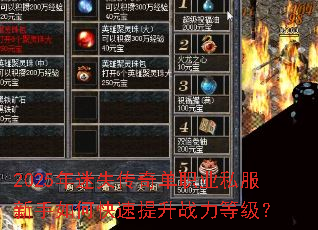 2025����ʧ���浥ְҵ˽��������ο�������ս���ȼ���