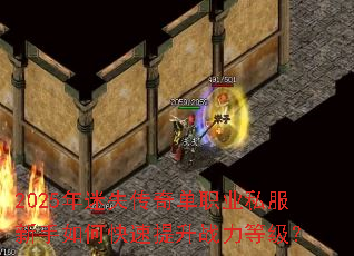 2025����ʧ���浥ְҵ˽��������ο�������ս���ȼ���