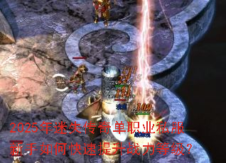 2025����ʧ���浥ְҵ˽��������ο�������ս���ȼ���