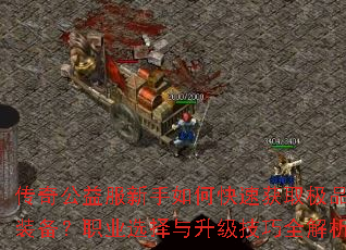 ���湫���������ο��ٻ�ȡ��Ʒװ����ְҵѡ������������ȫ����