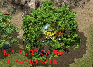 �տ�SF����������ο���������ȡ����װ����