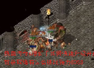 ��Ѫ����s��������ο�����������Ч��ȡϡ��װ����սǿ��BOSS