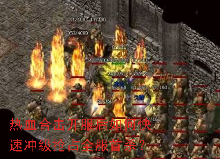 ��Ѫ�ϻ���������ο��ٳ弶��ռȫ����ɱ��