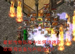 ���´���˽������ο��ٻ�ȡϡ��װ�����������ɣ�