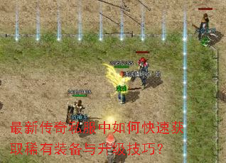 ���´���˽������ο��ٻ�ȡϡ��װ�����������ɣ�