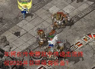 ����ڴ�����Ϸ�п��ٻ����ռ�BOSS����ȡϡ��װ����