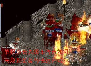 ��ְҵ���ð汾������θ�Чˢװ�������������