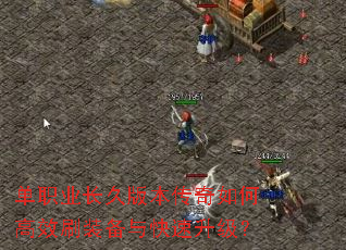 ��ְҵ���ð汾������θ�Чˢװ�������������