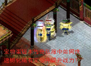 ���ﵰ�汾����˽������ο��ٷ���ϡ�г��ﲢ����ս����