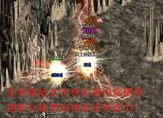 ���ﵰ�汾����˽������ο��ٷ���ϡ�г��ﲢ����ս����