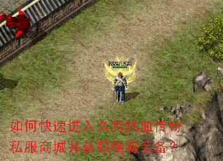 ��ο��ٽ��������Ѫ����˽���̳ǲ���ȡϡ��װ����