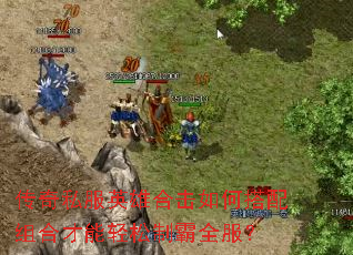 ����˽��Ӣ�ۺϻ���δ�����ϲ��������ư�ȫ����