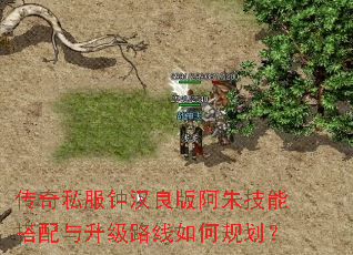 ����˽���Ӻ����氢�켼�ܴ���������·����ι滮��