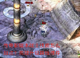 �����°汾սʿ������ô�ӵ㣿��Ч����·���Ƽ�