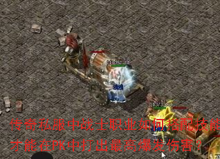 ����˽����սʿְҵ��δ��似�ܲ�����PK�д����߱����˺���