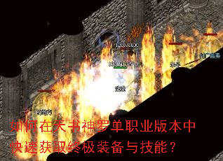 ������������޵�ְҵ�汾�п��ٻ�ȡ�ռ�װ���뼼�ܣ�