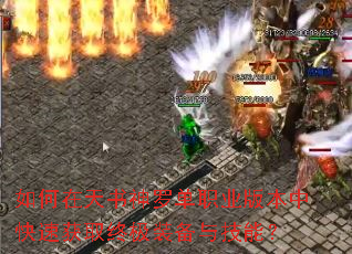 ������������޵�ְҵ�汾�п��ٻ�ȡ�ռ�װ���뼼�ܣ�