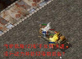 传奇私服123新手如何快速提升战力并获取稀有装备? 传奇私服123新手如何快速提升战力并获取稀有装备?