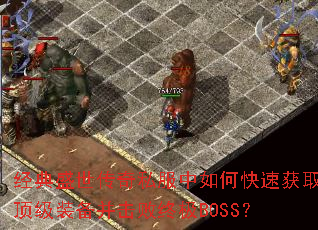 ����ʢ������˽������ο��ٻ�ȡ����װ���������ռ�BOSS��