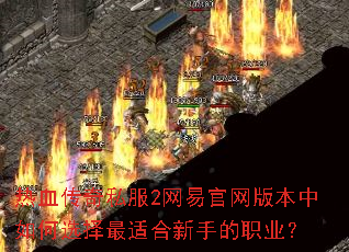 ��Ѫ����˽��2���׹����汾�����ѡ�����ʺ����ֵ�ְҵ��