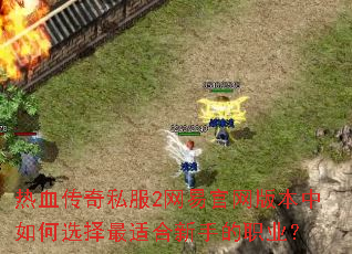 ��Ѫ����˽��2���׹����汾�����ѡ�����ʺ����ֵ�ְҵ��