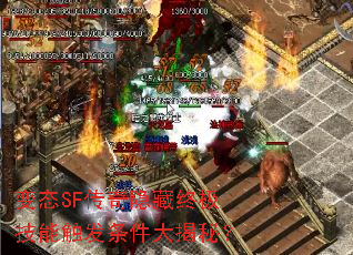 ��̬SF���������ռ����ܴ�����������أ�