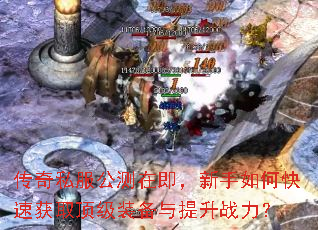 ����˽�������ڼ���������ο��ٻ�ȡ����װ��������ս����