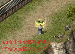 80�ϻ�����˽��������ο������պϻ����ɣ�