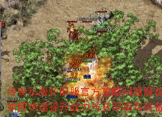 ����˽�����ɷ��ٷ�������������ο�������ս�����ȡϡ��װ����