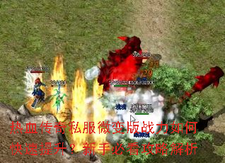 ��Ѫ����˽��΢���ս����ο������������ֱؿ����Խ���