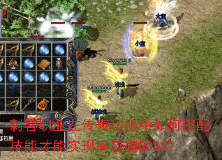 �̿�ְҵ�ڴ���˽������δ��似�ܲ���ʵ�ָ�ЧˢBOSS��