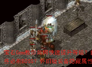 ��ʯGem������ο��������ȼ������ִ�������Щ��ˢBOSS�����ɰ�װ���������Դ���أ�