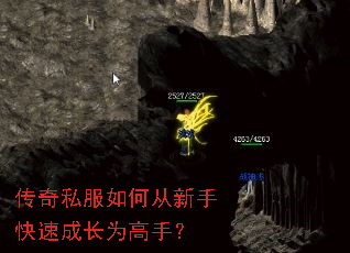 ����˽����δ����ֿ��ٳɳ�Ϊ���֣�