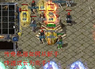 ����˽����δ����ֿ��ٳɳ�Ϊ���֣�