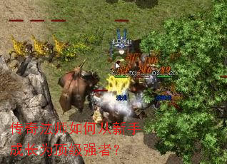 ���淨ʦ��δ����ֳɳ�Ϊ����ǿ�ߣ�