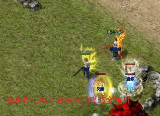 ����������������Ź���ȫ����